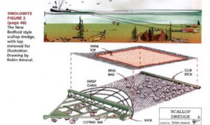 scallop-dredge